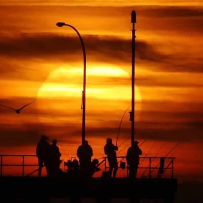 Perth sizzles with record 45C in eastern suburbs