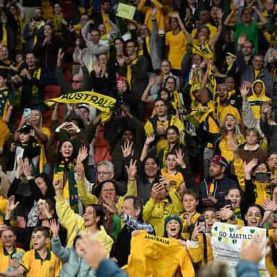 Probe into release of Football Aust player and fan data