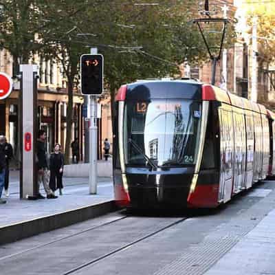 'Trackless trams' tipped to save emissions and budgets