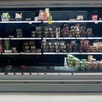 Store shelves will replenish as port dispute resolves