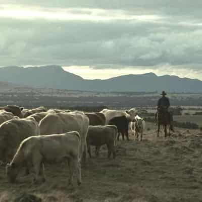 Farmer turns actor in film exploring bush mental health