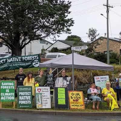 Glider experts left out, fearful of logging changes