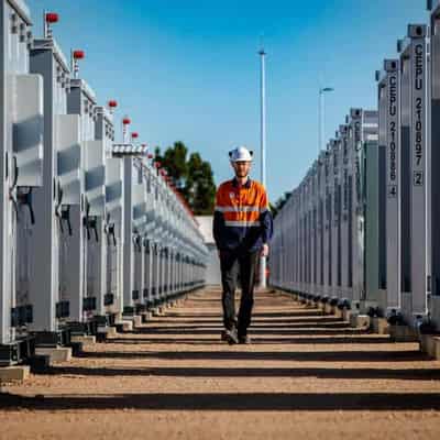 AGL Energy back in the black, but sights set on green