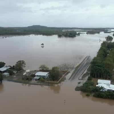 Farmers in far north Qld face long road to recovery