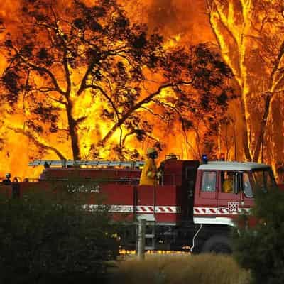 Bushfire survivors bring home renewable energy message