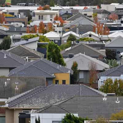 Carrot for home buyers could deliver stick to investors