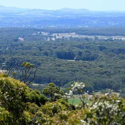 Tough terrain for volunteers in search for missing mum