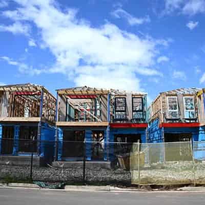 NSW planning laws 'intolerable' for lifting home builds