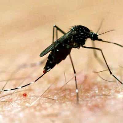 Ross River virus warning, thousands of cases predicted