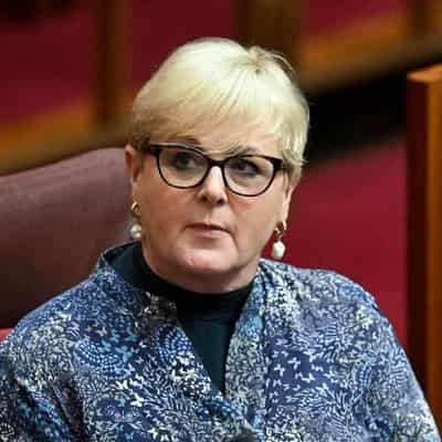 Liberal senator Linda Reynolds to step down at election