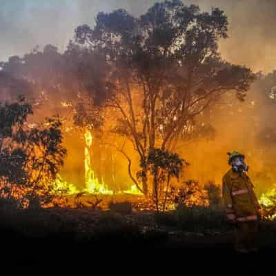 Homes lost and firefighters injured as bushfires rage