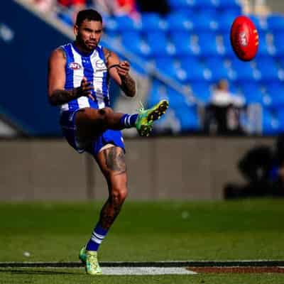 Kangaroos unsure when AFL call will be made on Thomas