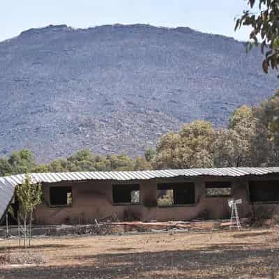 Bushfire evacuees return to homes and businesses