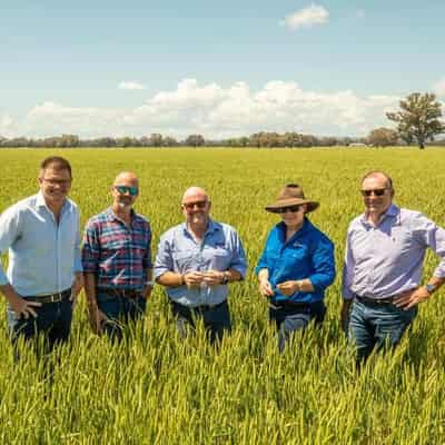 Kelloggs and farmers celebrate 100 years in Australia