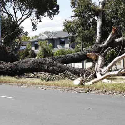 Recovery effort begins for communities lashed by storms