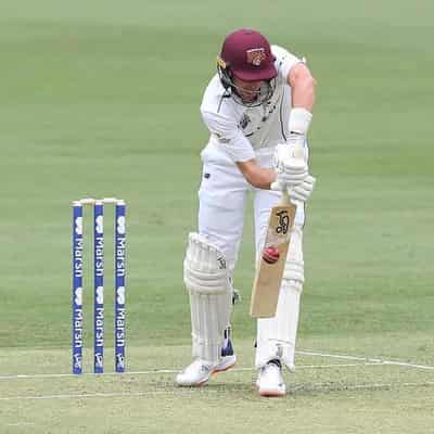 Labuschagne fights hard for Bulls on Adelaide minefield