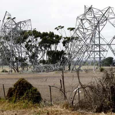 Almost 13,000 Vic homes still off-grid after storms