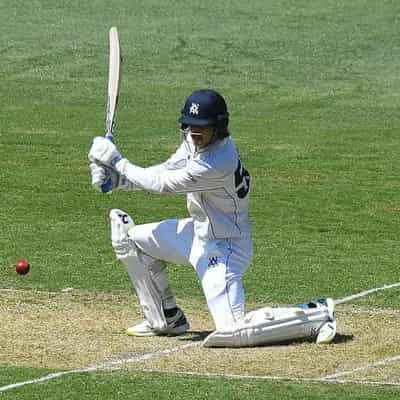 Maddinson runs hot with another Shield ton for Victoria