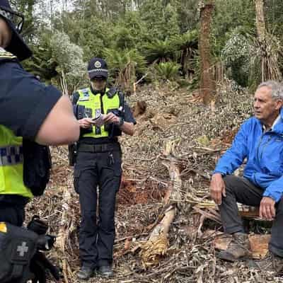 Bob Brown charge, ban over giant tree logging protest