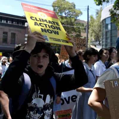 'Brick wall': Young people express climate action anger