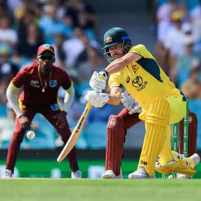 Dilemmas for T20 selectors as newbies stake their claim