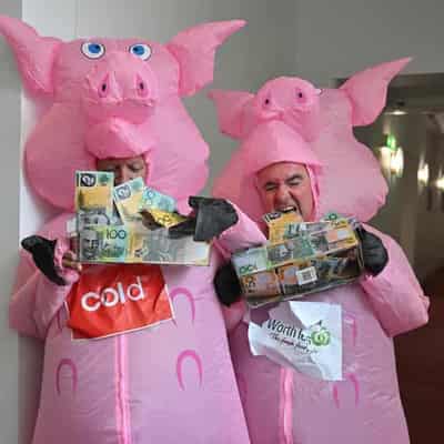 Piggy politicians squeal for end to greedy grocers