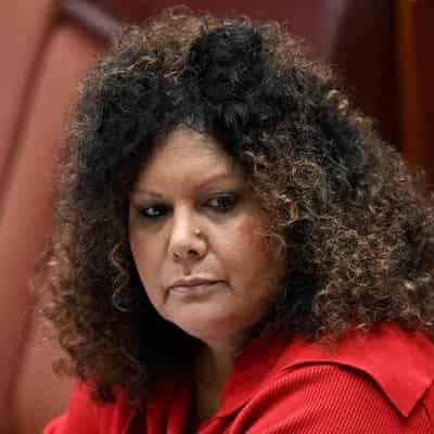 Indigenous senator felt 'culturally unsafe' after abuse