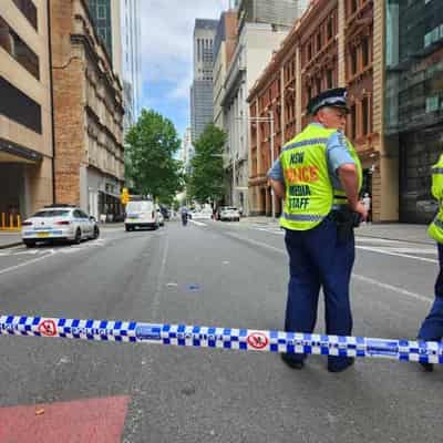 Elderly man in custody over Sydney lawyer shooting