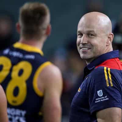 Adelaide coach Nicks says contract talks won't distract