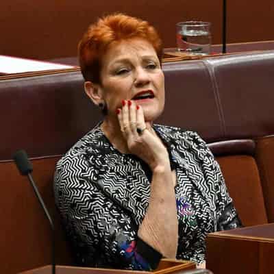 Defamation case not a Pauline Hanson 'royal commission'