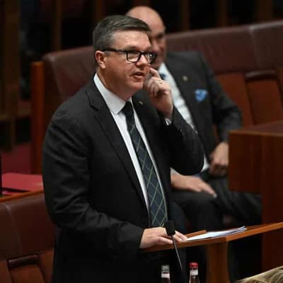 Seven colas and a single prawn: MPs declare freebies