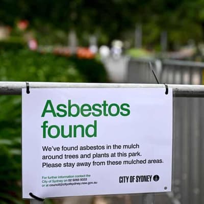 No further asbestos detected in Qld mulch supplies