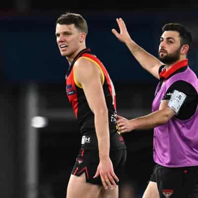 Max Holmes stars for Cats as Bombers lose Jordan Ridley