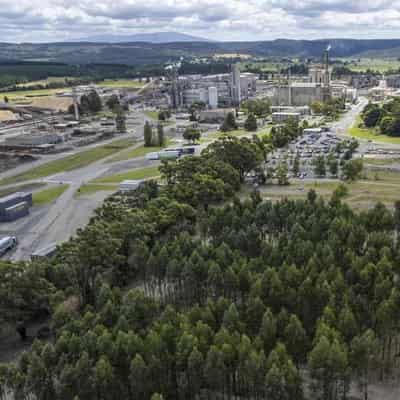 'Energy from waste' licence milestone for cleaner paper