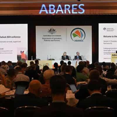 Some green shoots ahead for agricultural production