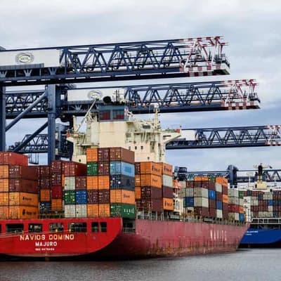 Economy unlikely to have contracted but growth muted