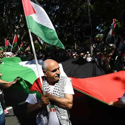 Palestine urges Australia to boost aid for Gaza