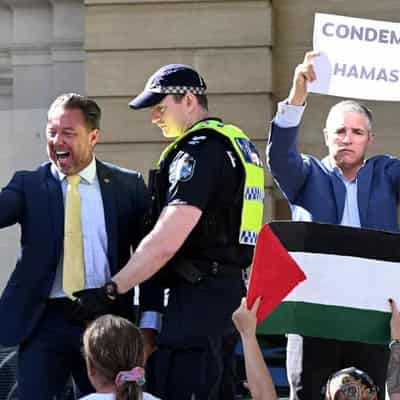 MPs clash with pro-Palestinian protesters over Gaza war