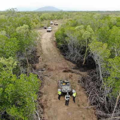 Big fine for owner who ripped out mangroves for road