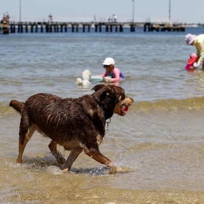 Festivals and events cancelled as southeast swelters