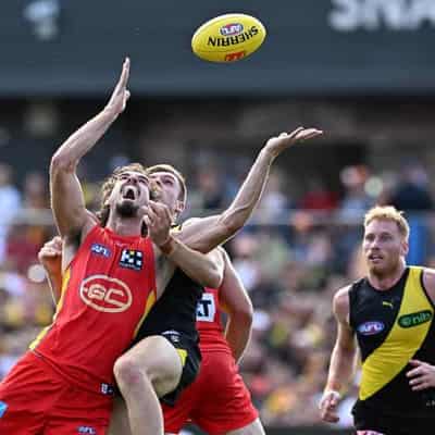 Hardwick's Suns prevail in wild ride against Tigers