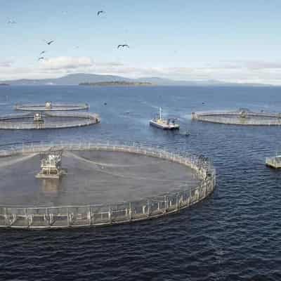 Climate change driving fish producers to new technology