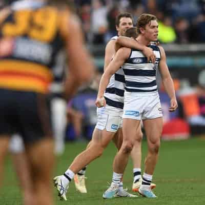 Bruhn set to take-off as Geelong midfield evolves