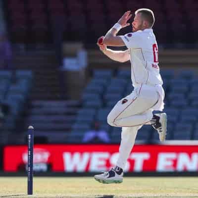 Tasmania need 316 runs to lock in home Shield final