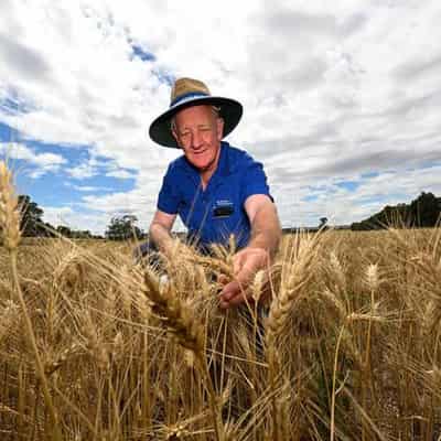 Farmer confidence takes root after two-year downturn