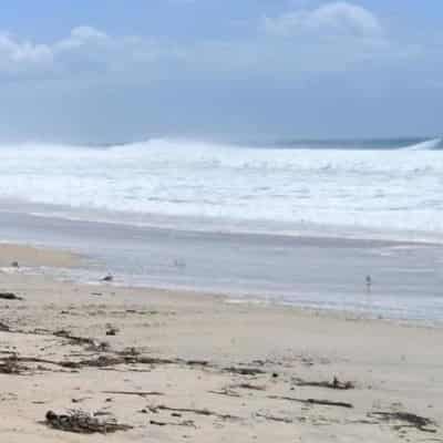 Teenage girl survives suspected shark attack at beach