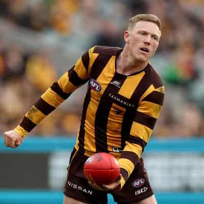 Hawk captain Sicily among AFL trio offered one-game ban