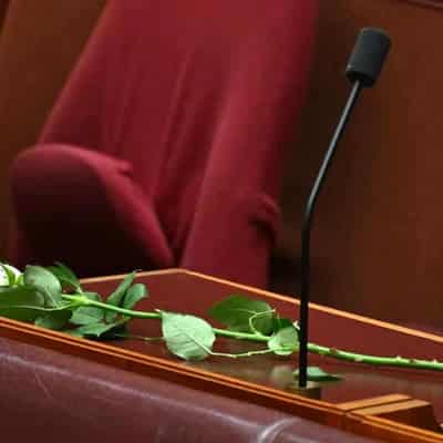 Late senator's legacy marked by tears, bread and roses