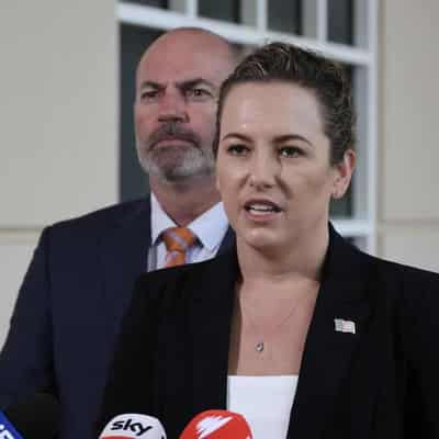 Shadow DV minister won't quit after hiring offender