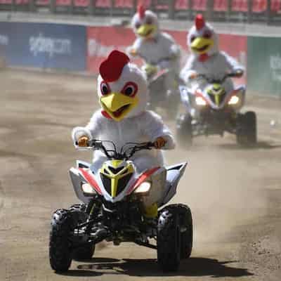 'Cost of living crunch' considered at Easter show